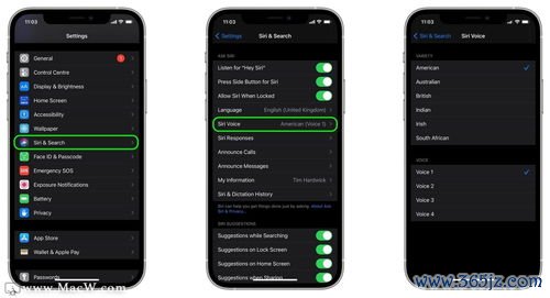 ios系统怎么下载欧易_欧易官网是中国平台吗